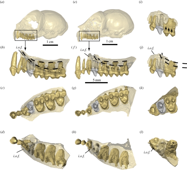 Figure 2.