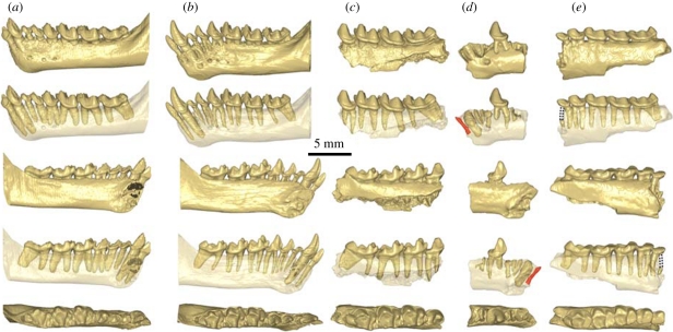 Figure 3.