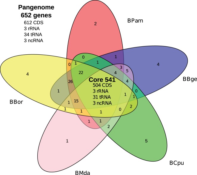 Fig. 2.—