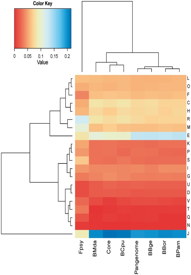 Fig. 3.—