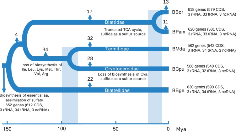 Fig. 4.—