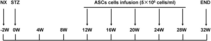 FIG. 1.