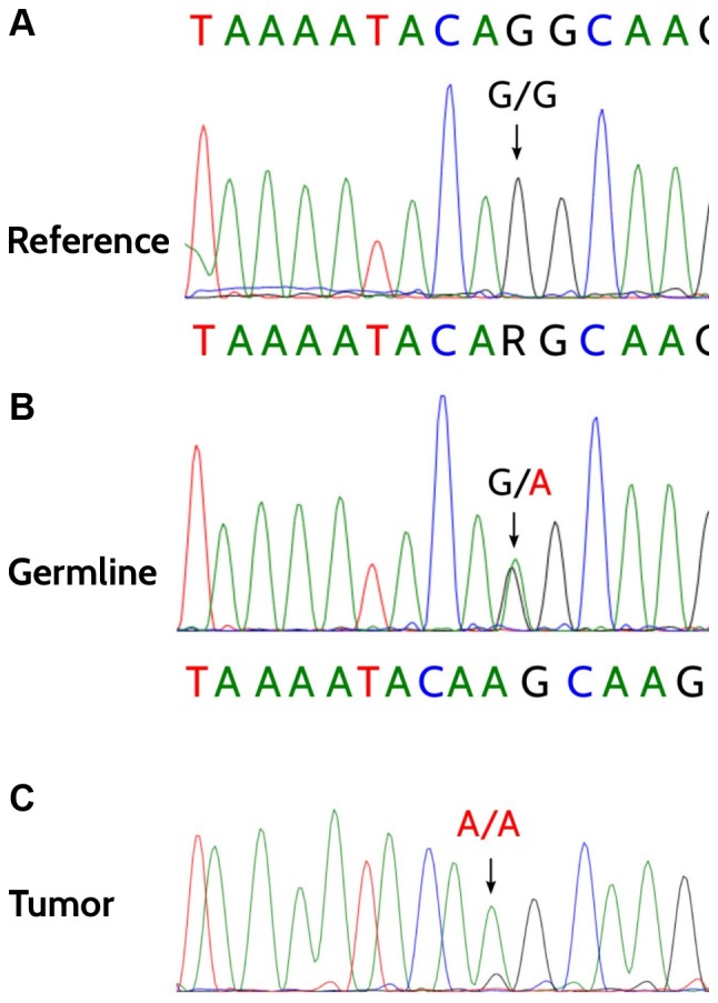 Figure 3.