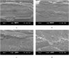 Fig. 10