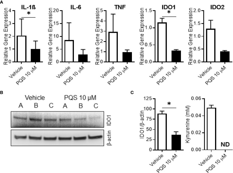 Figure 6