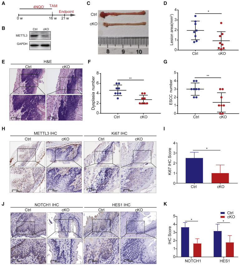 Figure 6