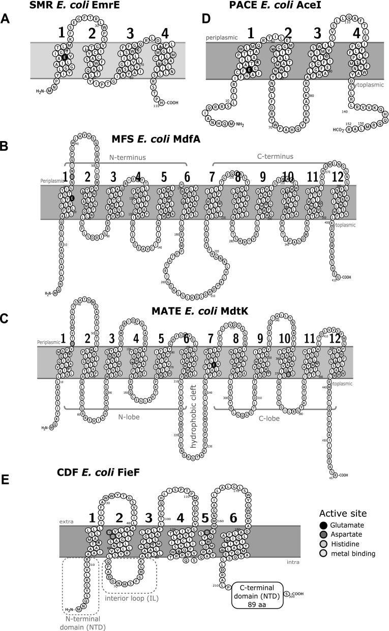 Fig. 3