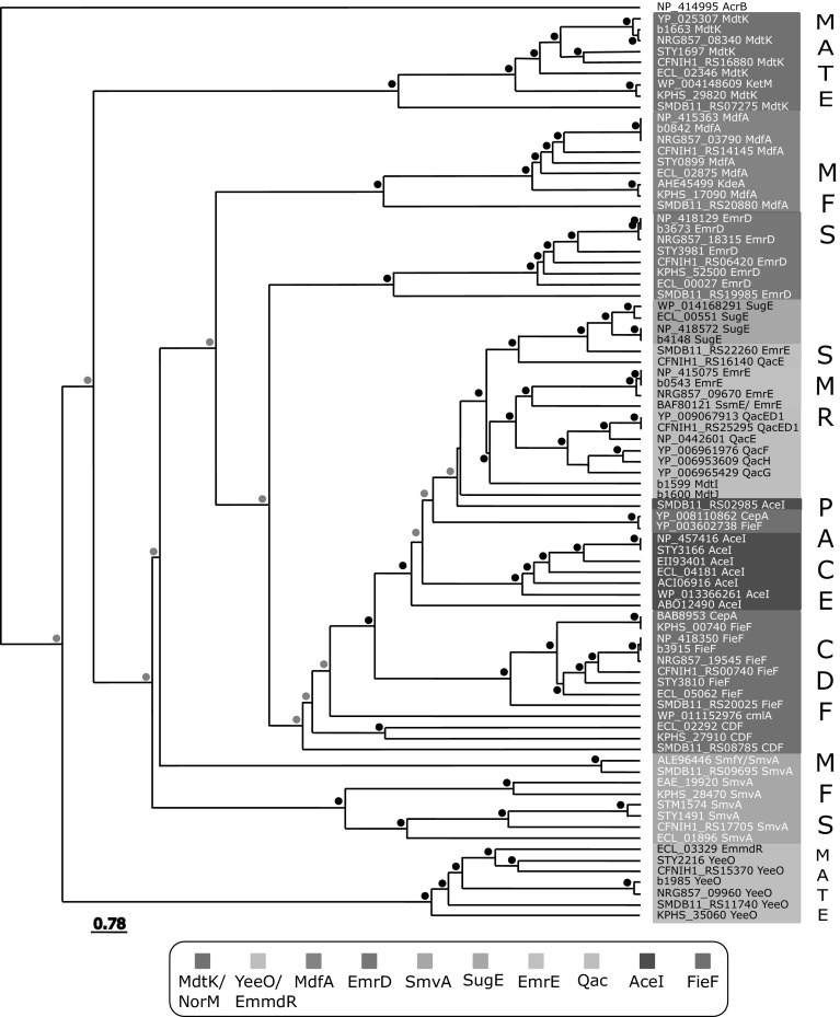 Fig. 2