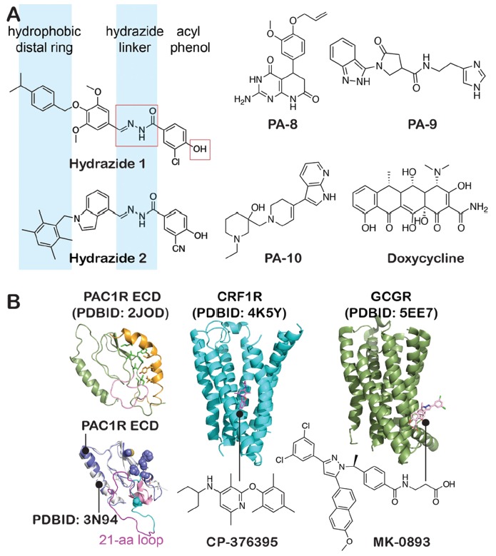 Fig. (6)