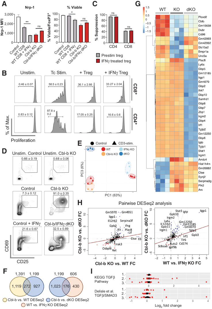 Figure 5. IFNγ directly modulates Cbl-b KO CD8+ T-cell responses. A, The effect of IFNγ on Tregs in suppression assay. Purified CD25+FoxP3+ Tregs were cocultured with WT CD8+ T cells (with or without IFNγ), Cbl-b KO, or Cbl-b/IFNγ double KO CD8+ T cells for 3 days; Nrp-1 expression on viable FoxP3+ cells and the percentage of viable cells within FoxP3+ cells were measured (n = 3). B, Proliferation of WT CD8+ and WT CD4+ T cells in the presence of preactivated Tregs treated with or without IFNγ (n = 3). C, The percentage suppression of WT CD4+ and CD8+ T cells cocultured with Tregs treated with or without IFNγ. D, CD69 and CD25 expression on activated WT, Cbl-b KO, and Cbl-b/IFNγ double KO CD8+ T cells (without Tregs). T cells were stimulated for 24 hours. E–I, Transcriptomic analyses of WT, Cbl-b KO, and Cbl-b/IFNγ double KO CD8+ T cells (n = 3). E, PCA of CD8+ T cells from different stimulatory conditions. F, Venn diagrams representing the total number of unique and overlapping differentially expressed genes for each DESeq2. G, A heatmap representing differentially expressed genes of each stimulated group. Values were calculated using individual gene's Z-normalized log2 score (RNA-seq read count + 1). H, Pairwise analyses comparing differentially expressed genes between Cbl-b KO vs. Cbl-b/IFNγ double KO DESeq2, Cbl-b KO vs. WT DESeq2 and WT vs. IFNγ KO DESeq2. Blue and red points indicate upregulated and downregulated genes in each condition, respectively. I, TGFβ signaling pathway analysis using KEGG and Delisle et al. data set (35). Genes represented in each TGFβ signaling dataset were analyzed in WT vs. IFNγ KO (1), Cbl-b KO vs. WT (2), and Cbl-b KO vs. Cbl-b/IFNγ double KO (3) DESeq2 datasets. DEGs with P < 0.05 were annotated in red.