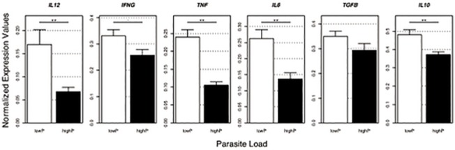 Fig 5