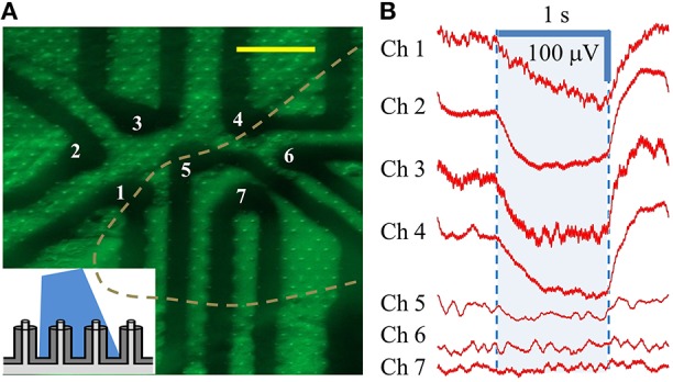 Figure 6