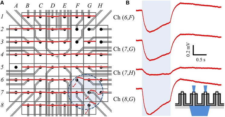 Figure 7