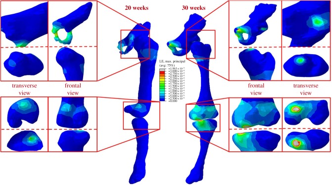 Figure 7.