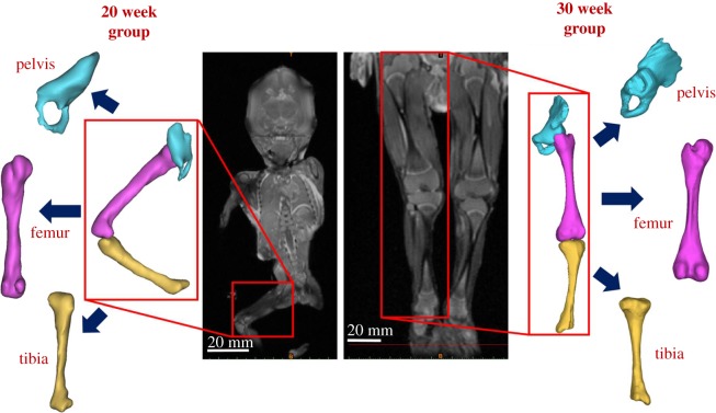 Figure 2.