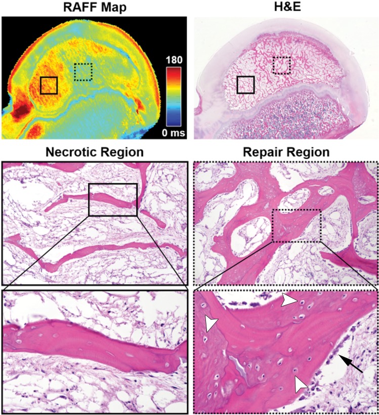 Figure 4: