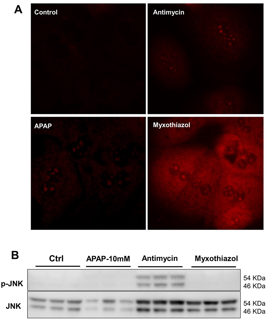 Figure 5: