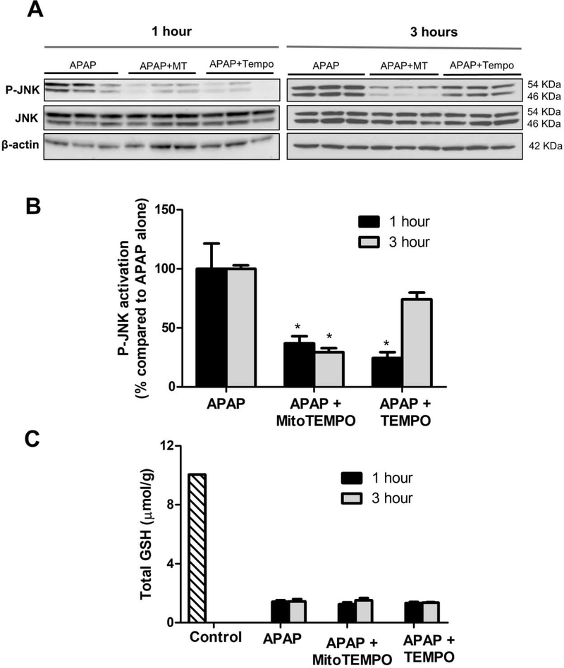 Figure 2: