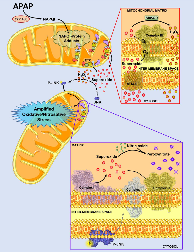 Figure 6: