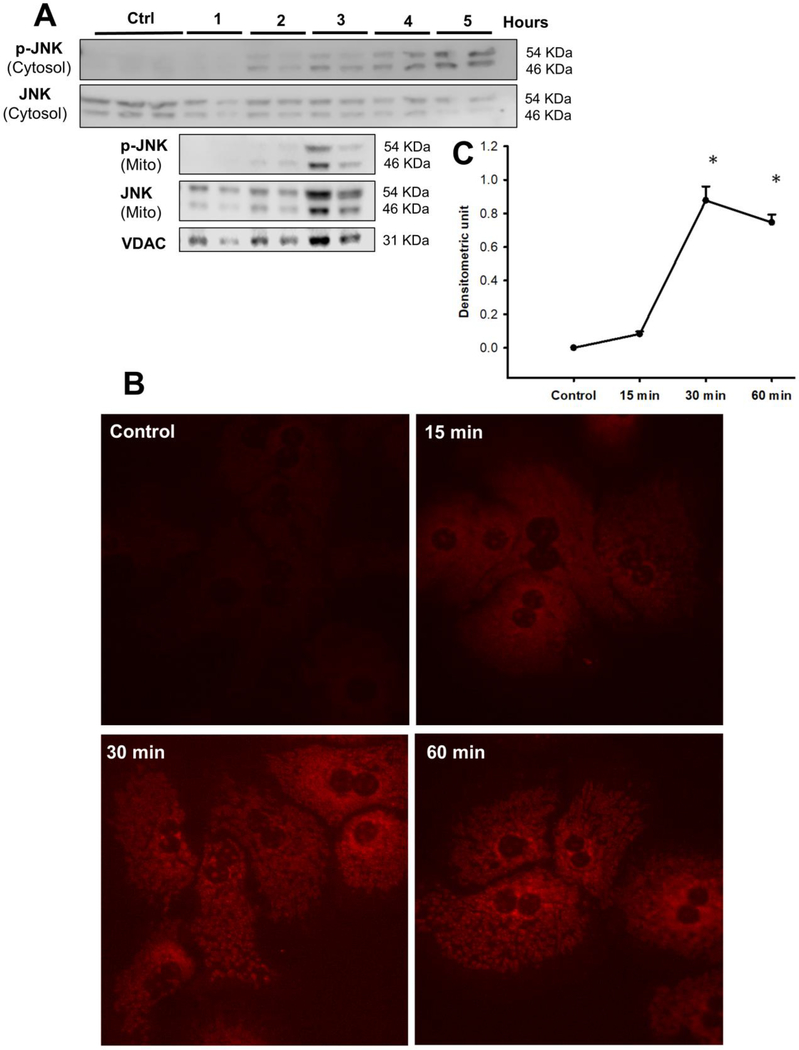 Figure 3: