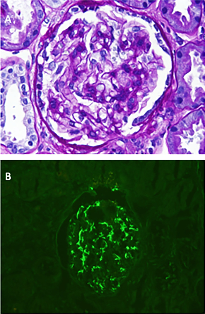 Figure 2.