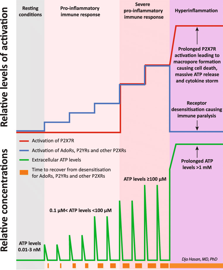 Fig. 3 