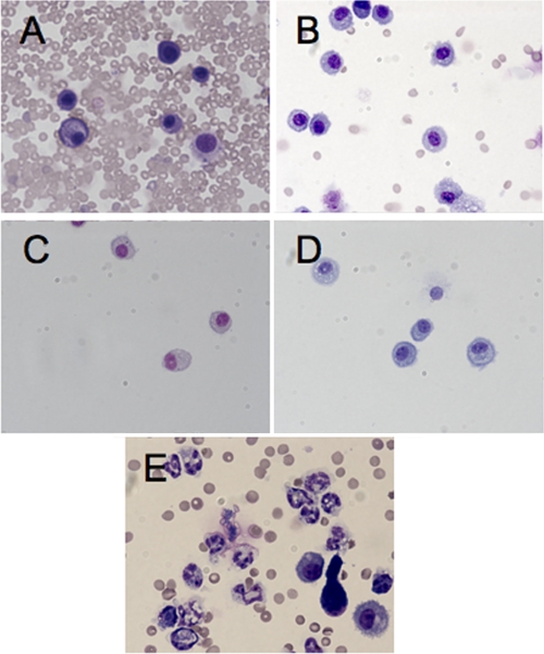 FIG. 7.