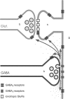 Figure 8.