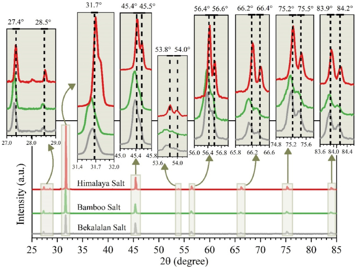 Fig. 6