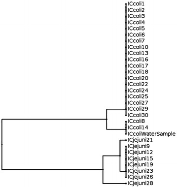 Fig. 2