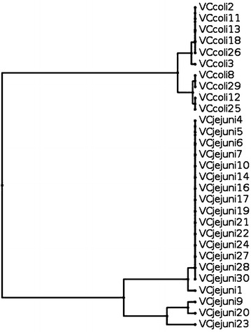 Fig. 5