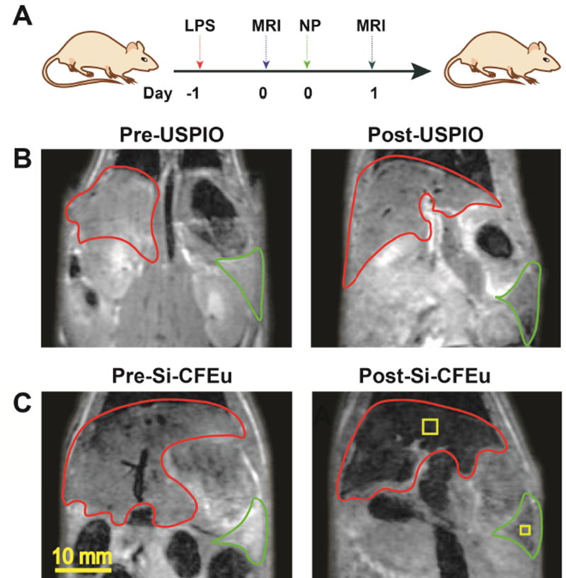 Fig. 8