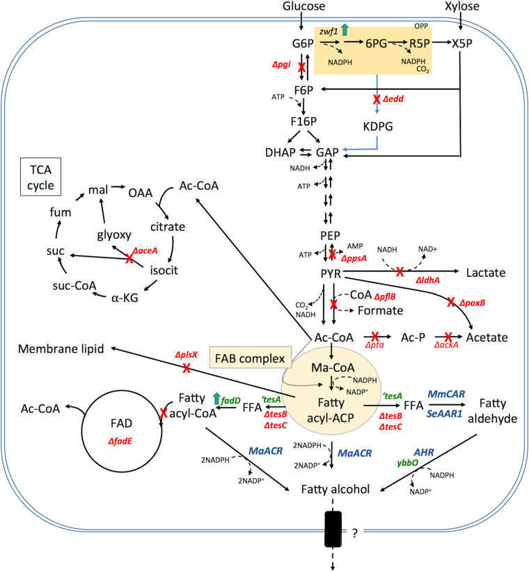 FIGURE 3