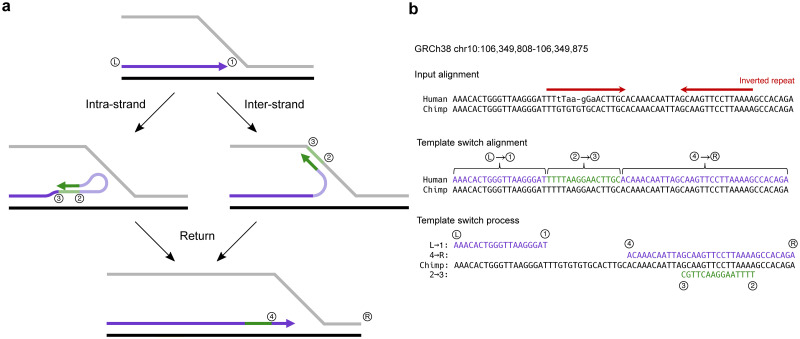 Fig 1