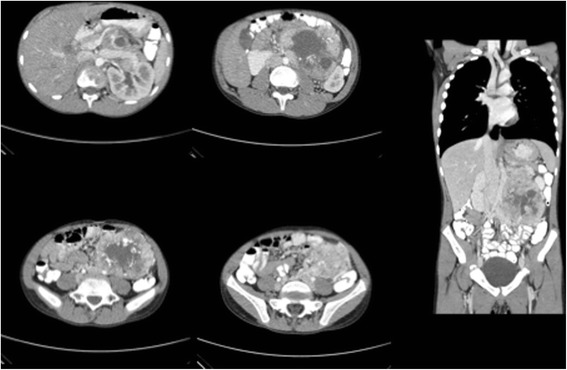 Fig. 5