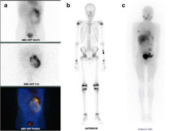 Fig. 8