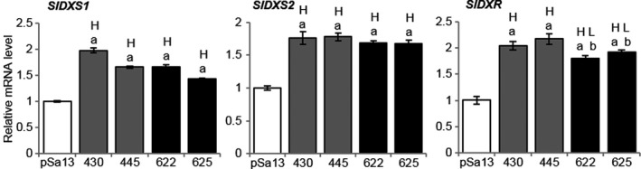 Figure 4