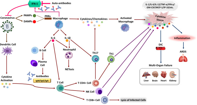 Figure 2