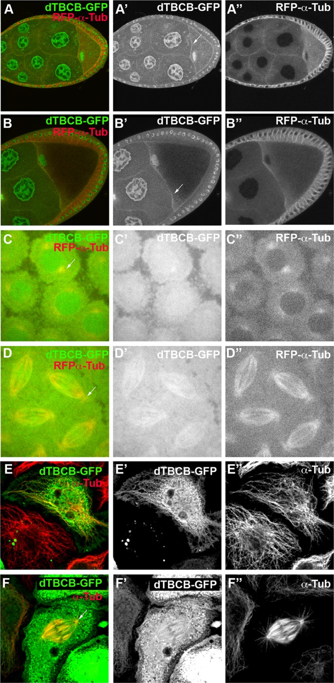 FIGURE 3: