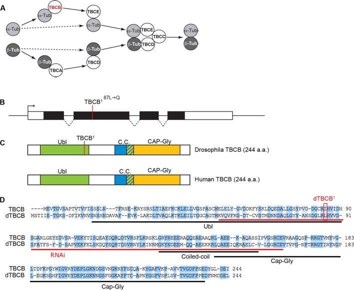 FIGURE 1: