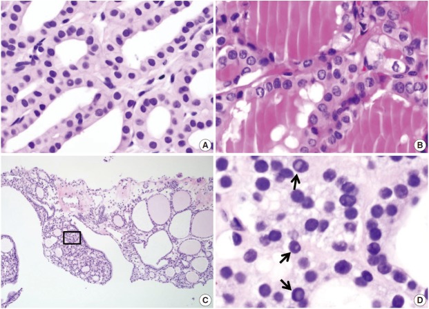 Fig. 8.