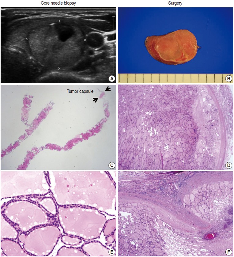 Fig. 3.