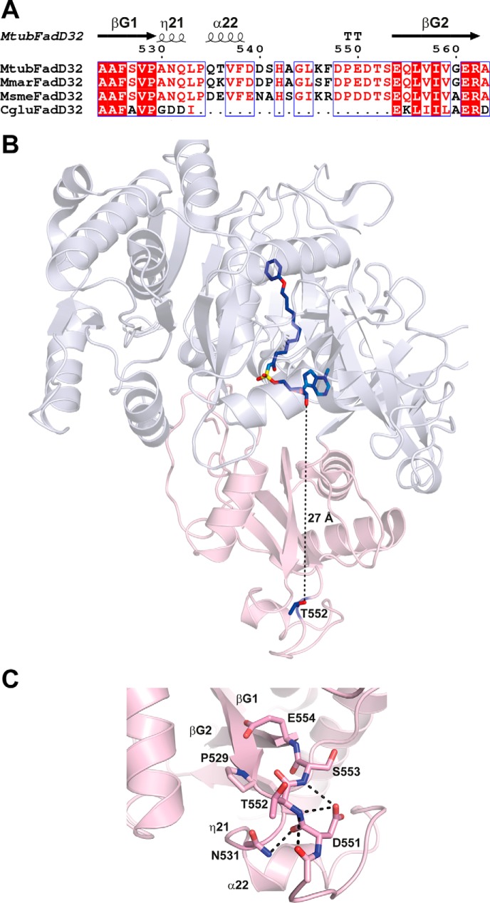 FIGURE 7.