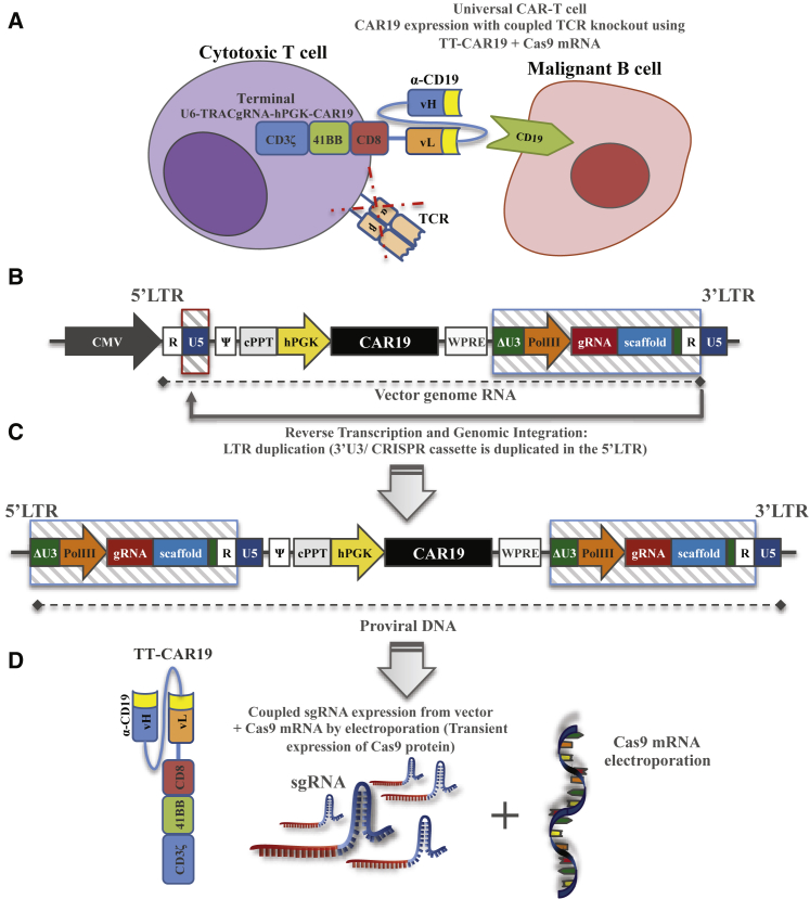 Figure 1