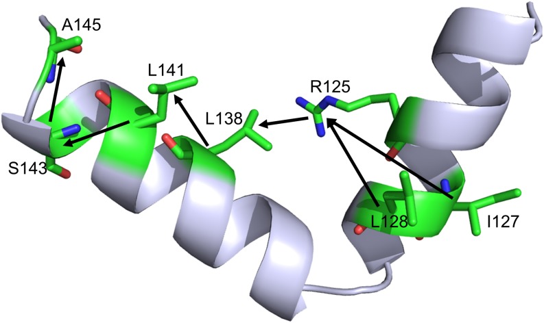 FIG. 11.