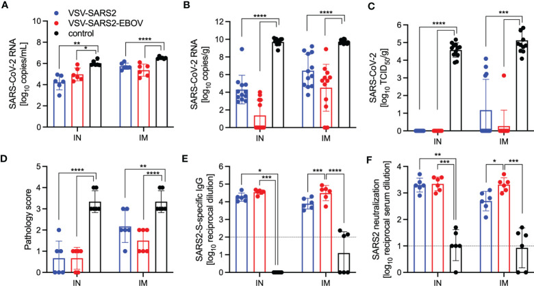 Figure 5