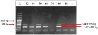 Figure 14