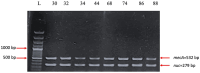 Figure 12
