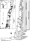 FIG. 1.