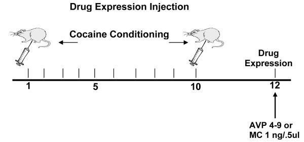 Figure 1c